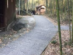 -山沟沟景区