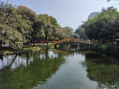 -晓港公园
