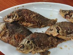 -独流饭店(静海区国土资源分局西)