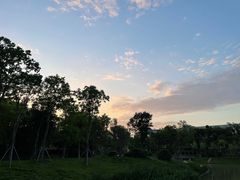 -飞凤山奥体公园