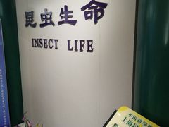 -上海昆虫博物馆