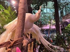 -正佳雨林生态植物园