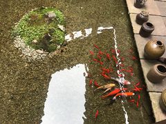 -几荷·恰似故人来(秀水广场店)