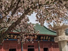 -天津大悲禅院