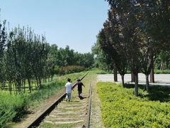 -永定河休闲森林公园