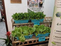 自助取餐区-奎元馆.百年奎元.非遗传承(西湖边的解放路店)