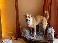 -太阳岛度假酒店