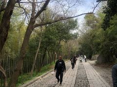 -紫金山山顶公园