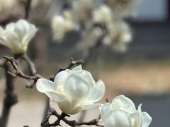 -颐和园