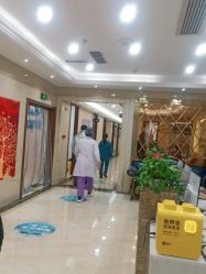 -碧莲盛·不剃发植发