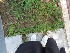 -洨河生态公园