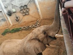 -西霞口神雕山野生动物世界