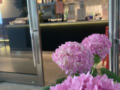 -WOW coffee