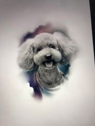 -杨卓刺青工作室·YZ STUDIO