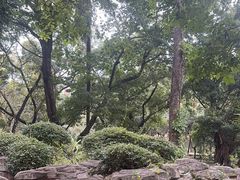 -晓港公园