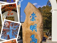 -瀛洲公园