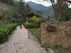 -远山有窑