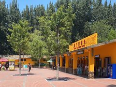 -北京野生动物园