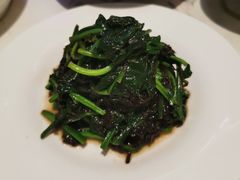 -喜鼎海胆水饺(柏威年购物中心店)