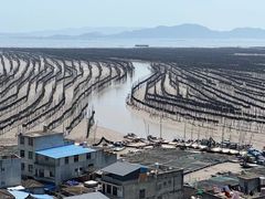 -北岐滩涂