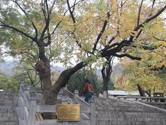 -千佛山风景名胜区