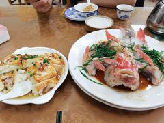 -苏记农家菜馆
