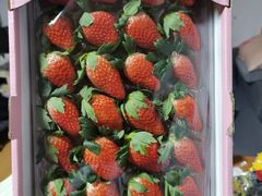 -盒马X会员店(王府井奥莱UP TOWN店)