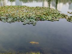 -宝岛公园