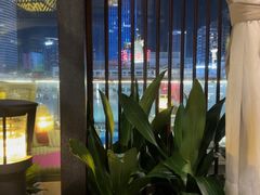 -润园四季椰子鸡火锅(海上世界店)