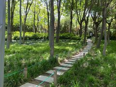 -郑州植物园