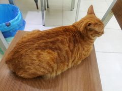 -玉华饮食店(茅台路店)