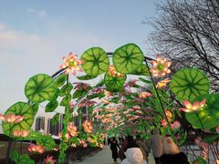 -沈阳奥体冰雪嘉年华
