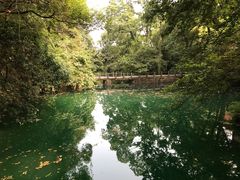 -之江大学-旧址