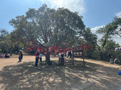 -天龙顶山地公园