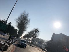 -长春世界雕塑园冰雪艺术天地