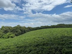 -敬亭山风景名胜区