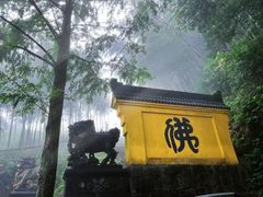 -九华山风景区