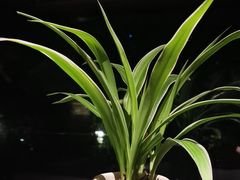 -虹之森·小馆