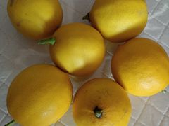 -京都蝎府羊蝎子火锅(珠市口店)