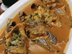 -鲁宴·鲁煨黄河生态大鲤鱼(月坛店)
