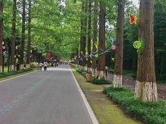 -黄海国家森林公园