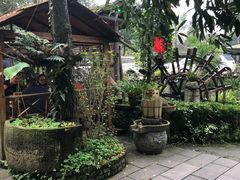 -青城甲(青城山店)