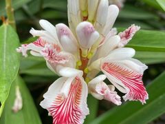 -广州神农草堂中医药博物馆