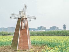 -长兴太湖图影湿地文化园