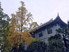 -四川大学(华西校区)