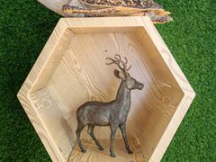 -北京鹿世界主题园