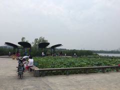 -永定河休闲森林公园