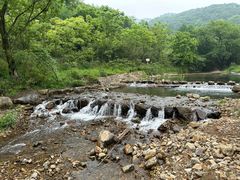-北仑森林植物园