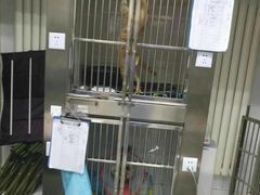 -北京派仕佳德动物医院·超导核磁·CT·神经科·骨科·内外科·急重症管理中心