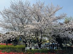 -IKEA宜家家居(南京商场)